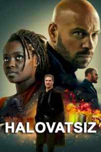Halovatsiz