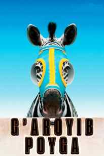 G'aroyib Poyga
