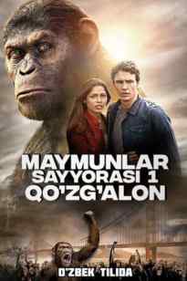 MAYMUNLAR SAYYORASI 1