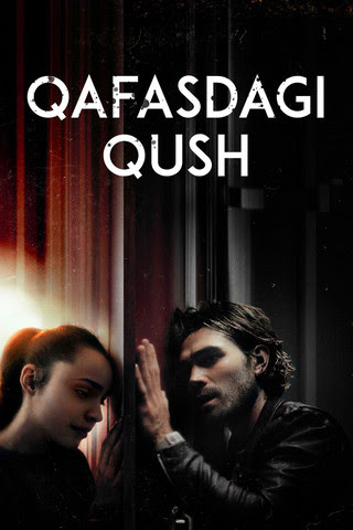 Qafasdagi qush