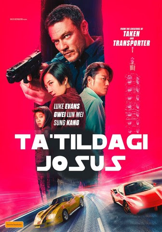 Tatildagi josus