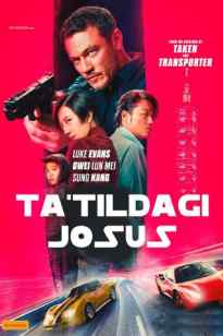 Tatildagi josus